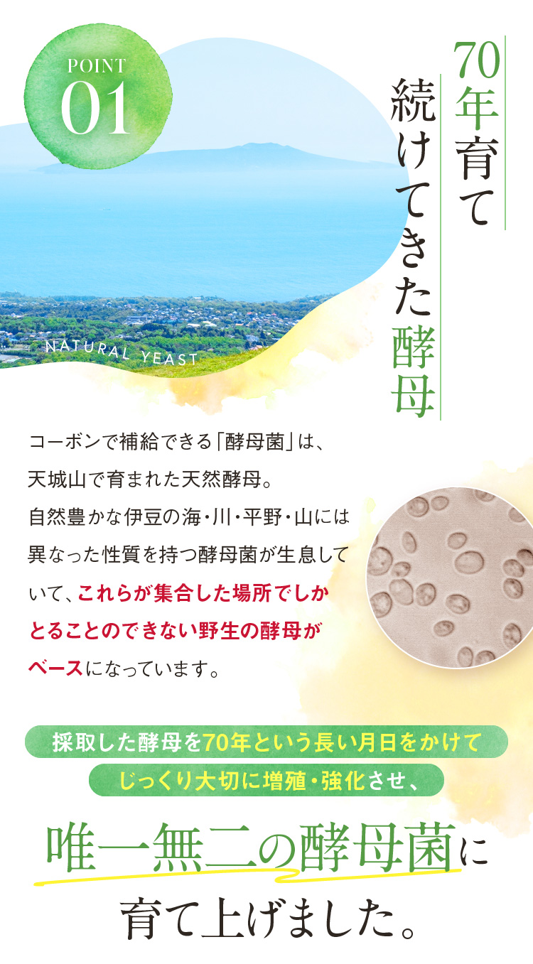 70年育て続けてきた酵母