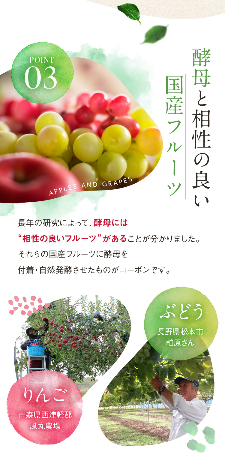 酵母と相性の良い国産フルーツ