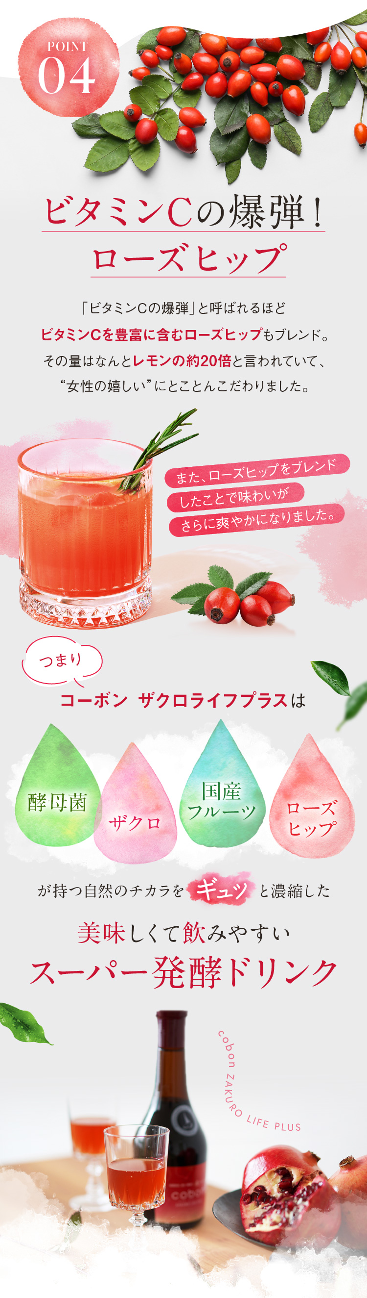 ビタミンCの爆弾！ローズヒップ