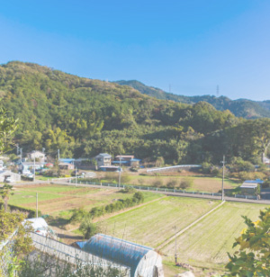 伊豆恵まれた環境のなかで天然酵母を育成 イメージ