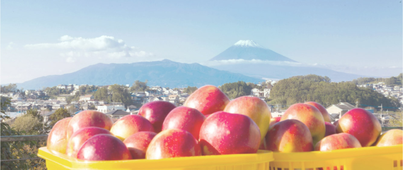 cobonとは? イメージ