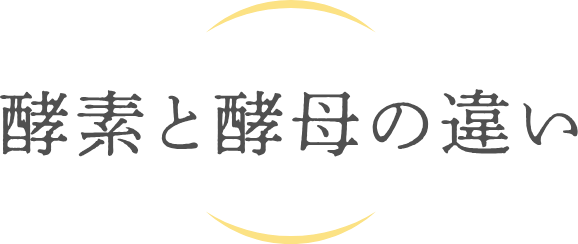 酵素と酵母の違い