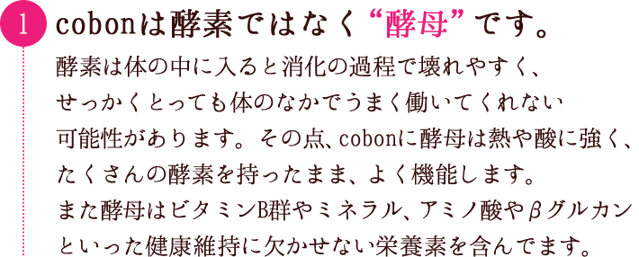 cobonは酵素ではなく“酵母”です。