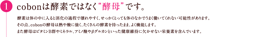 cobonは酵素ではなく“酵母”です。