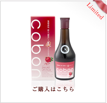 ¥³¡¼¥Ü¥ó¥¶¥¯¥í¥é¥¤¥Õ¥×¥é¥¹ N525¡¡¤´¹ØÆþ¤Ï¤³¤Á¤é