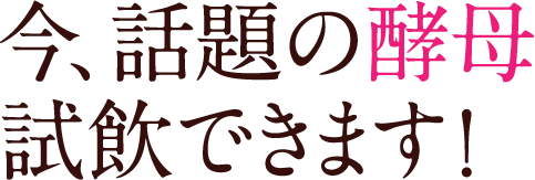 今、話題の酵母試飲できます！