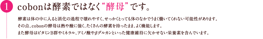 cobonは酵素ではなく“酵母”です。