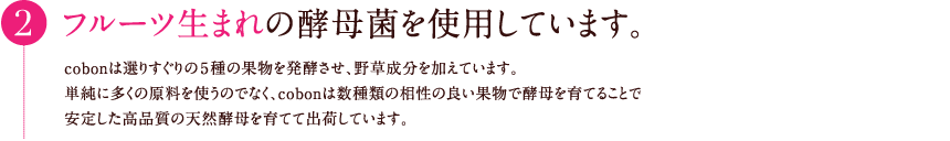 フルーツ生まれの酵母菌を使用しています。